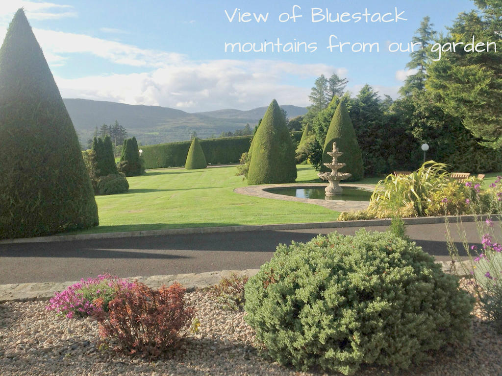 Arches Country House Donegal Town Exterior foto